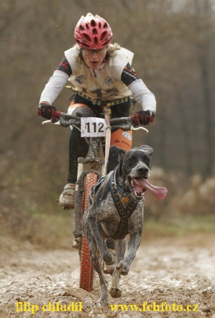 Bakonybel - 0327.JPG